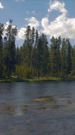 Релаксация в Объятиях Природы