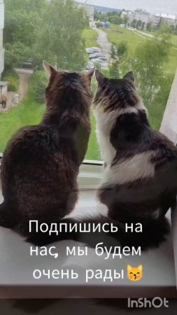 1000059159.mp4
