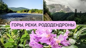 Наше утро на горной реке и  дорога на Водопадистый с озером, горами  и рододендронами