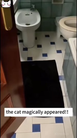 Найди черную кошку в темной комнате, 1