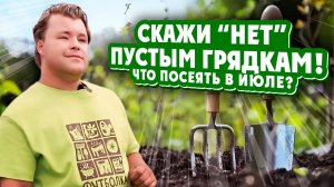 СКАЖИ «НЕТ» ПУСТЫМ ГРЯДКАМ! Что посеять в июле?