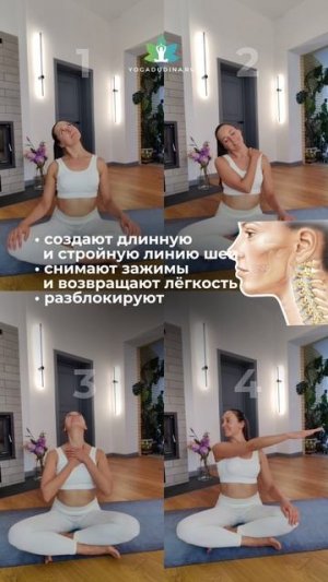 Это РАЗБЛОКИРУЕТ ШЕЮ. Особенно ПОЛЕЗНО при малоподвижном образе жизни!