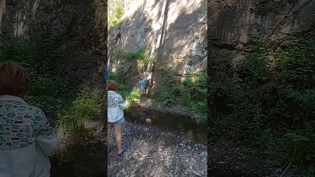 Караканский бор, Новосибирская область