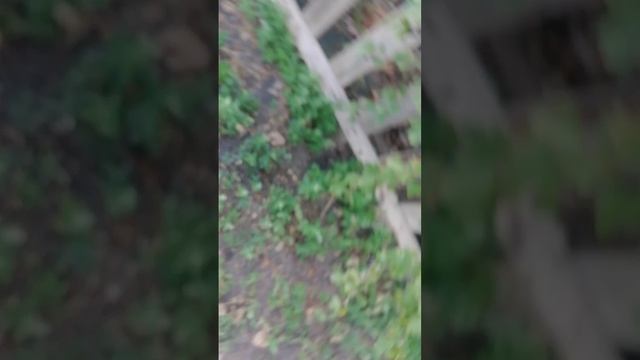 приключения