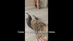 Песня кота Кокоса Сама это ешь
