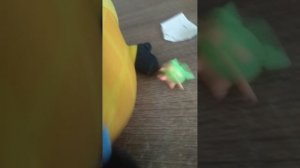 Видио от мини