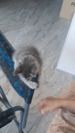 Счастье живет рядом с нами
