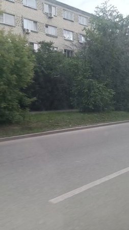 Данилы Зверева 24
