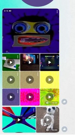 SVID_20250703_172131_1.mp4