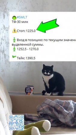 Черновик Трейдера