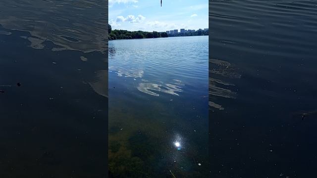 1000021403.mp4