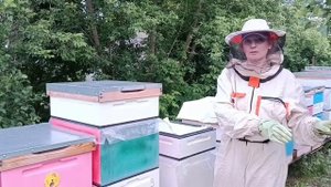 В гостях у соседки - пчеловода.