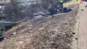 Причиной аварии, в которой погибли Диогу Жота и его брат Андре да Силва, стала лопнувшая шина