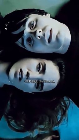 Пахнешь как любовь неистовая  #Shami#Мактина#сердцезабрала