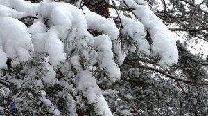 В этот день