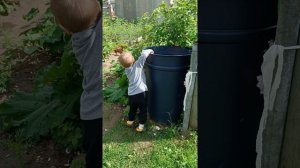Бабушкин помощник