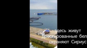 Адлер Яхтпорт Имеретинский .
 Яхты рыбалка медузы