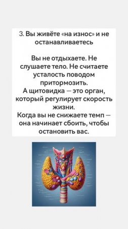 Щитовидка - голос вашей правды. Если она сбоит, возможно, вы слишком долго молчали о главном