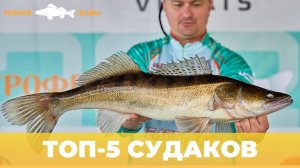 ЭТИ РЫБЫ ДАЛИ ЖАРУ! ТОП-5 СУДАКОВ «ТРОФЕЯ ДУБНЫ 2025»