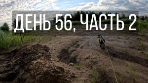 День 56, часть 2