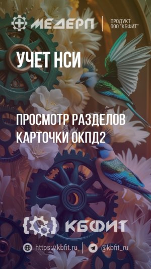 КБФИТ: МЕДЕРП. Учет НСИ: Просмотр разделов карточки ОКПД2