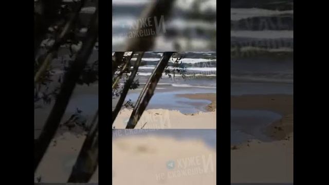 Свинарник от Меладзе в Юрмале 🤬🤨
