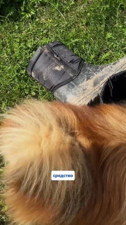 Чудо-паста 💜
WB: #234577722
OZON: #1664064287
