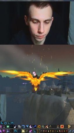 Лечу на птице в небесах WoW Pandaria classic