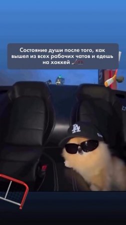 -4377067797791130048