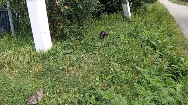 Мне страшно и тебе страшно