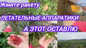 МОЙ УЧАСТОК ПОЛОН ЧУДЕС