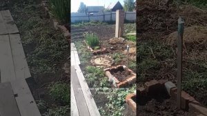 спасаю свой огород