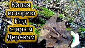 Поиск металла в урочище: Открываем тайны старой Ивы
