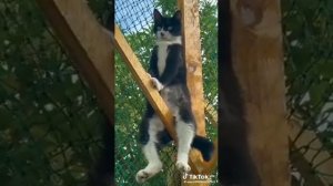 VID_20250703_184443_651.mp4