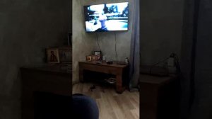 играем в гта 5