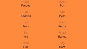 Части тела 1 Body parts 1