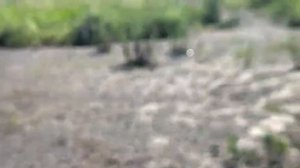 Ночевал на границе Алтайского и Советского района.