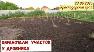 Обработали участок у дровника(29.06.2025)