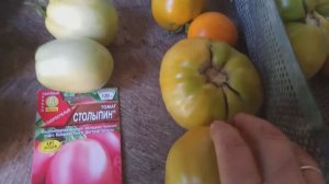 Жизнь в деревне. Виталий и Зоя - Сад и огород:  Урожай помидор. Какие сорта лучше