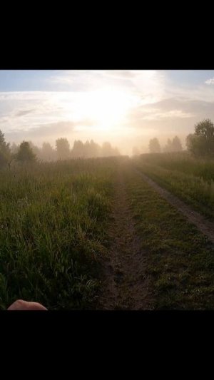 «Бег без цели»