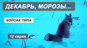 Фильм Корсак Тяпа. 12 серия. Декабрь, морозы