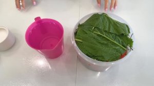 Малосольные квашеные помидоры! Рецепт.