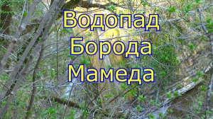 Водопад Борода Мамеда в Лазаревском.