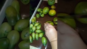 ЗЕЛЕНОПЛОДНЫЕ ПОМИДОРЫ  -- Лучшие сорта!!!  Реальный обзор! Томаты в разрезе, размер, цвет, вкус!