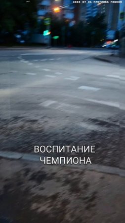 2025 07 01 ВОСПИТАНИЕ ЧЕМПИОНА 4К.mp4