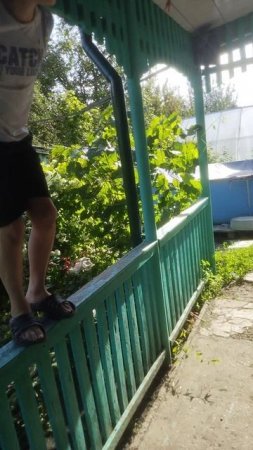 человек-паук