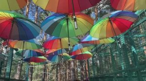 Нина гуляет в зоопарке и кормит животных: капибара, альпака, верблюд, козочки и все-все-все