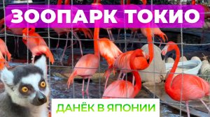 Зоопарк Токио. Март 2024.