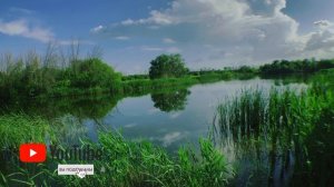 #рыбалка ✅ РЫБАЛКА В ТАМБОВЕ.