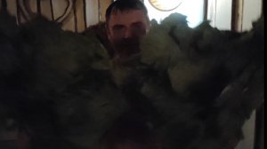 Гром 40 Тропический веник в парне)